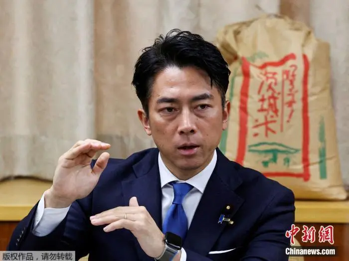 资料图：小泉进次郎。